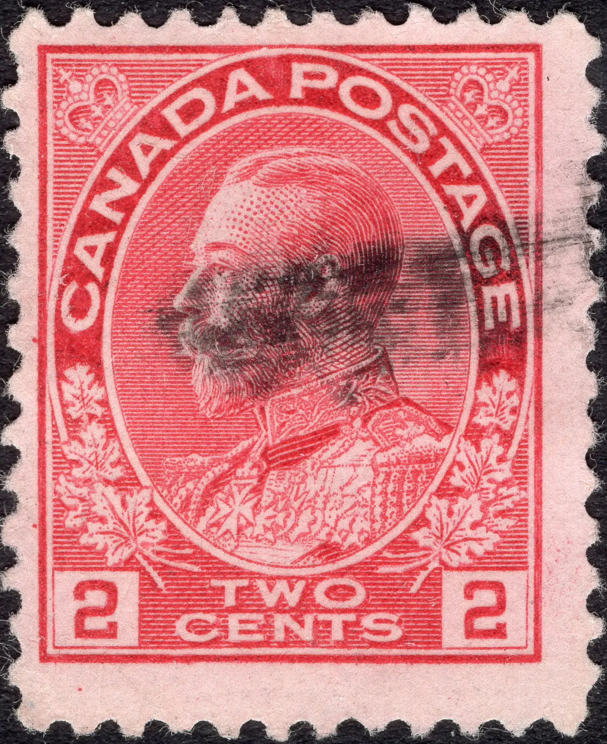 Image provided by STY